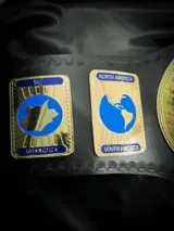WWF Intercontinental Oval 24K Gold Championship Belt — view 3