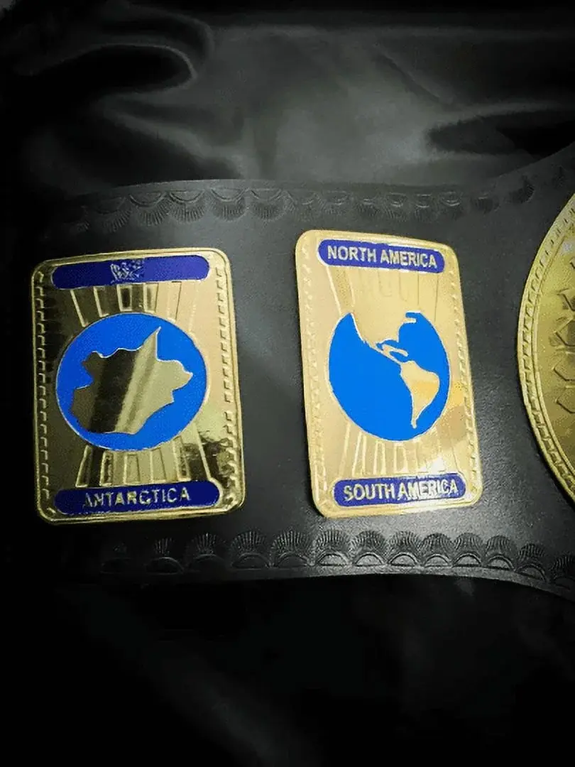 WWF Oval Intercontinental Championship Belt โ view 3