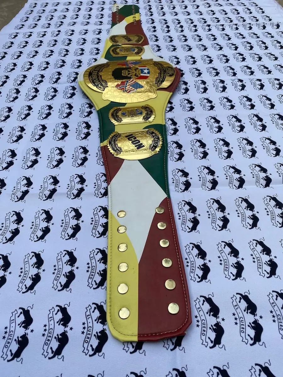 ROH Jay Briscoe Champion Wrestling Championship Belt — view 2