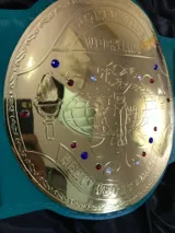 WWF Big Green Championship Title Belt — view 3
