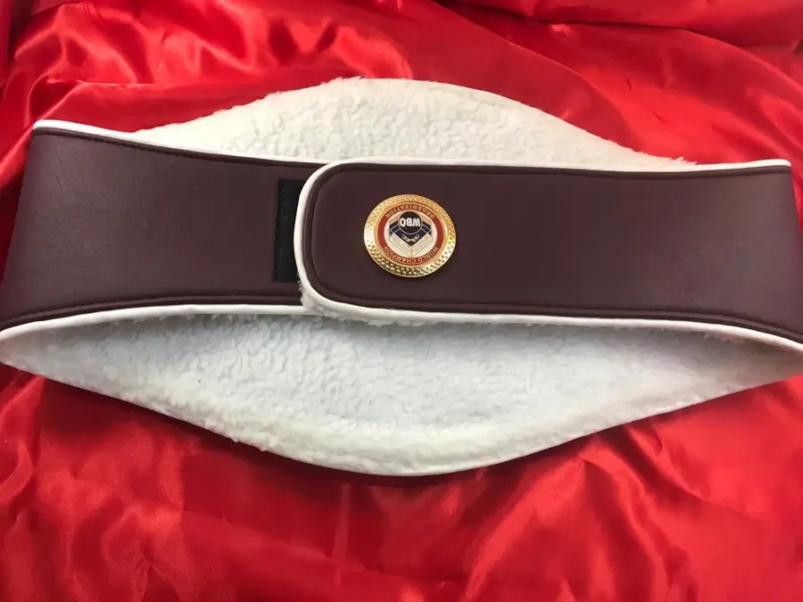 WBO Brown Super World Boxing Championship Belt — view 2