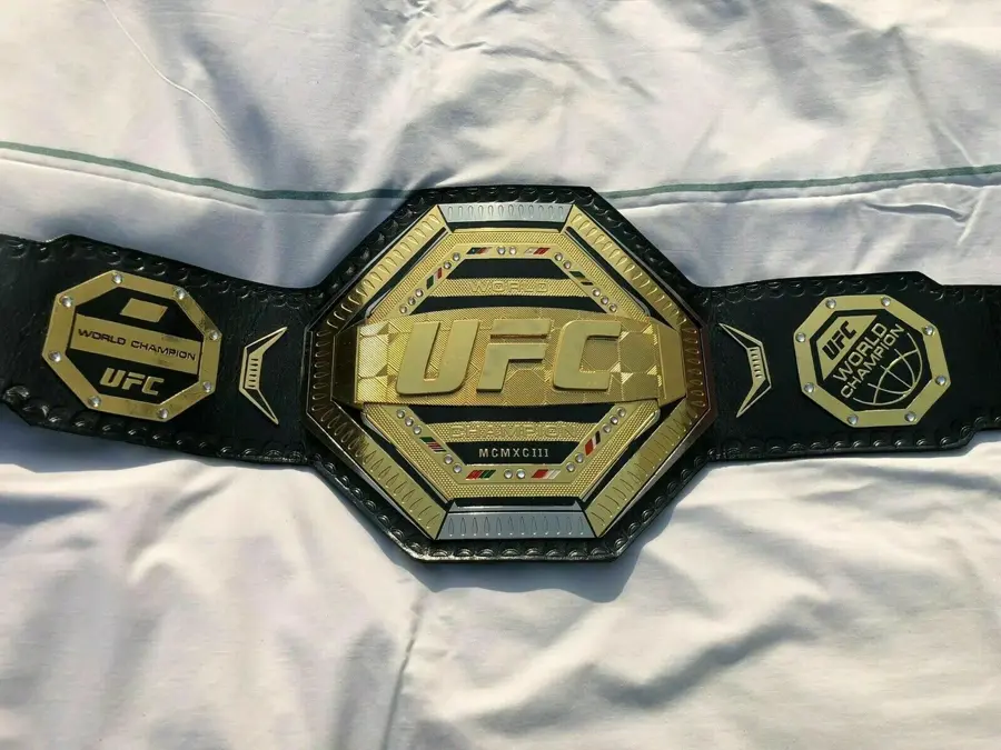 UFC World Heavyweight Wrestling Championship WWE Belt — view 3
