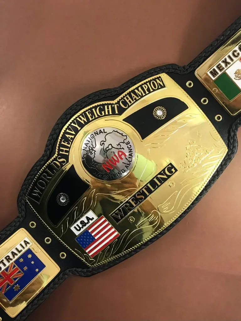 NWA World Heavyweight Champion Wrestling Belt — view 2