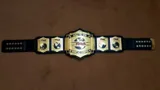 TNA World Tag Team Championship Belt — view 2