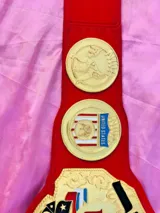 NWA USA Tag Team 24K Gold Zinc Championship Belt — view 3