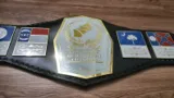 Mid Atlantic Heavyweight Championship Title Belt — view 3
