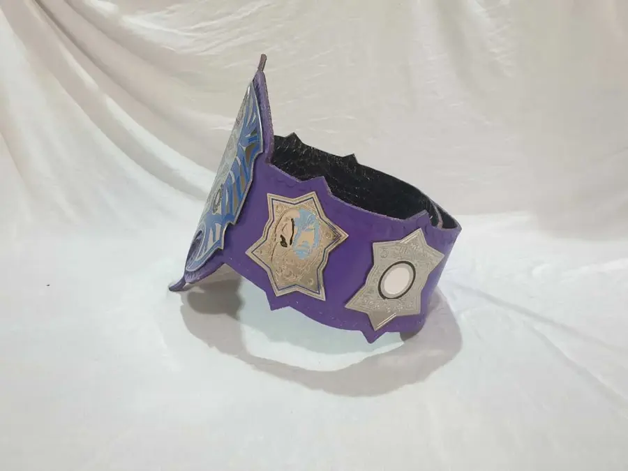 TNA Jeff Hardy Championship Belt โ view 3