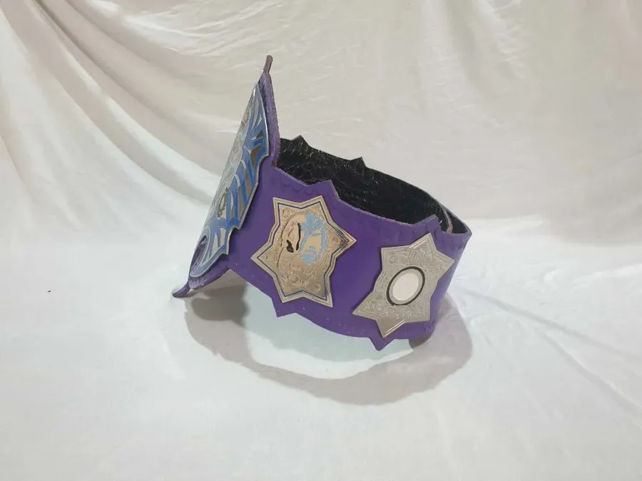 TNA Jeff Hardy Championship Belt — view 3