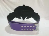 TNA Jeff Hardy Championship Belt — view 2