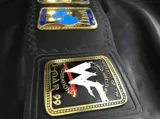 WWF Intercontinental Oval 24K Gold Championship Belt — view 4