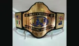 WWF Hulk Hogan 86 24K Gold Championship Belt — view 2