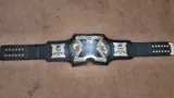 TNA X Division Championship Title Belt — view 2