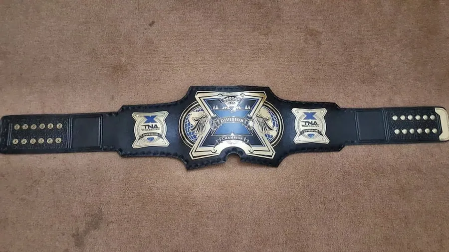 TNA X Division Championship Title Belt — view 2
