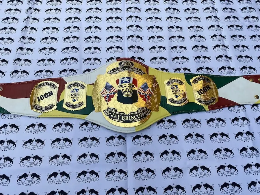 ROH Jay Briscoe Champion Wrestling Championship Belt — view 3