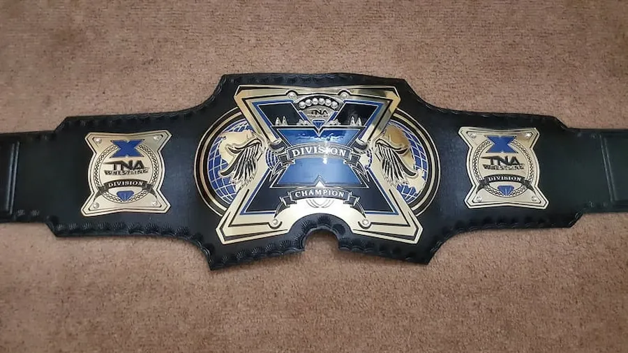 TNA X Division Championship Title Belt — view 3