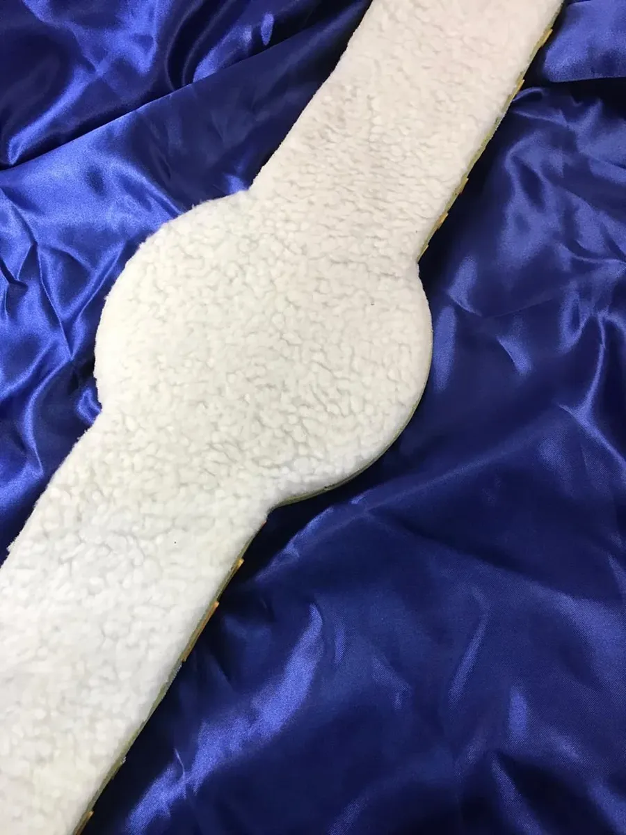 The Ring Undisputed Boxing Championship Belt — view 4