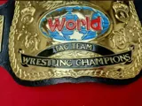 WWE NXT Tag Team Championship Belt — view 2