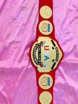 NWA USA Tag Team 24K Gold Zinc Championship Belt — view 5