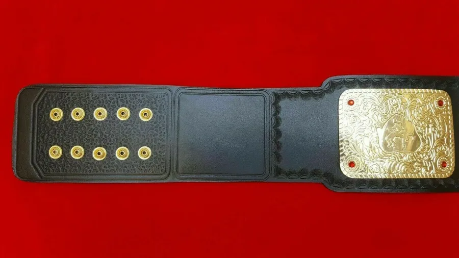 WWE Big Gold Dual Plated 24K Gold Championship Belt — view 5