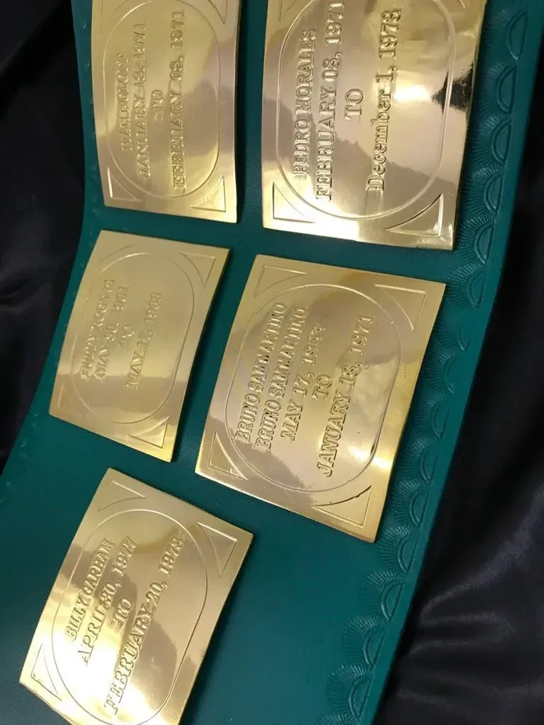 WWF Big Green Championship Title Belt — view 2