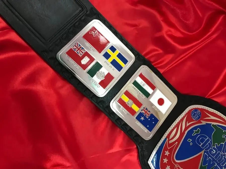 Georgia World Championship Wrestling TV Champion Belt — view 2