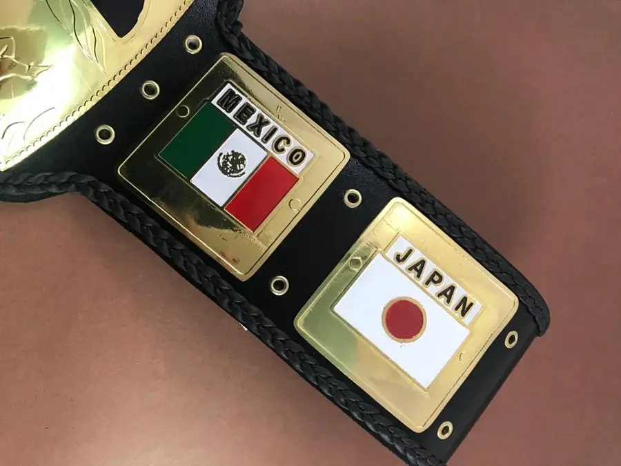 NWA World Heavyweight Champion Wrestling Belt — view 4