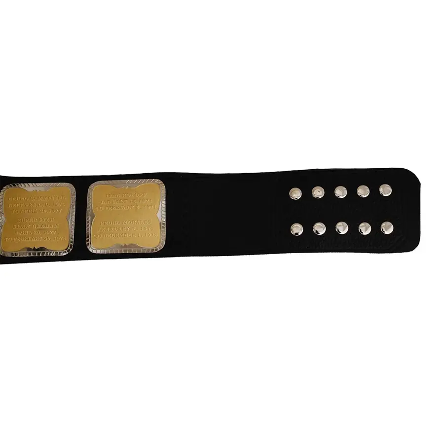 WWF Hulk Hogan Heavyweight Championship Belt — view 4