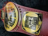 North American Zinc Championship Belt — view 3