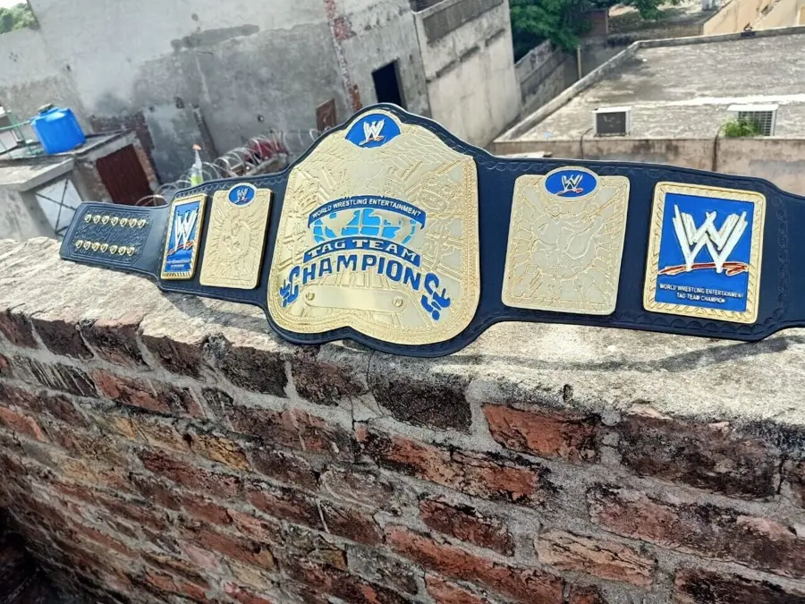 IWGP Tag Team Championship Belt β view 5