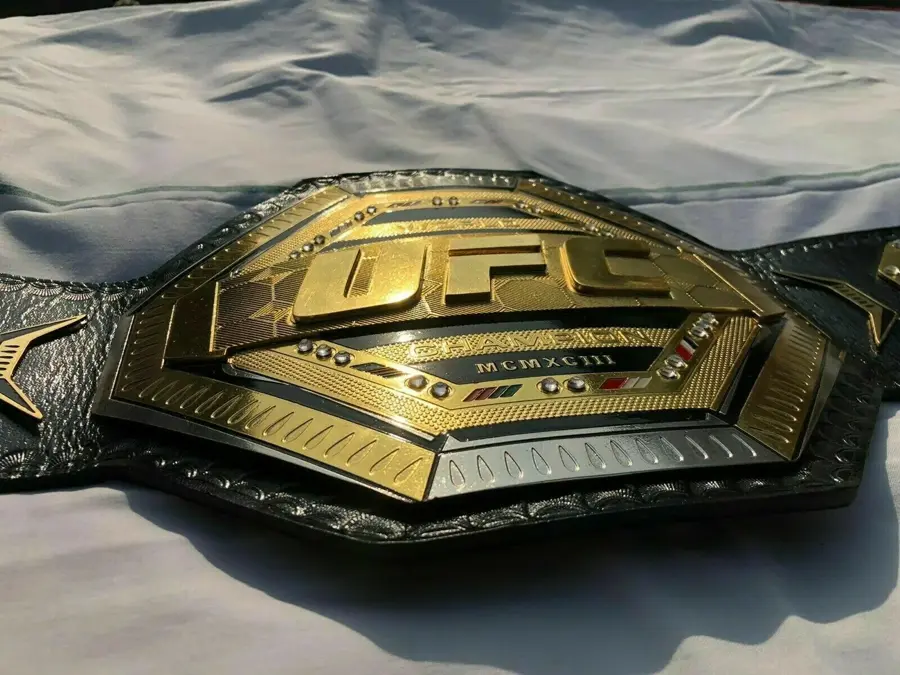 UFC World Heavyweight Wrestling Championship WWE Belt — view 2