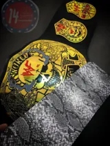 WWF Stone Cold Smoking Skull 24K Gold Championship Title Belt — view 4