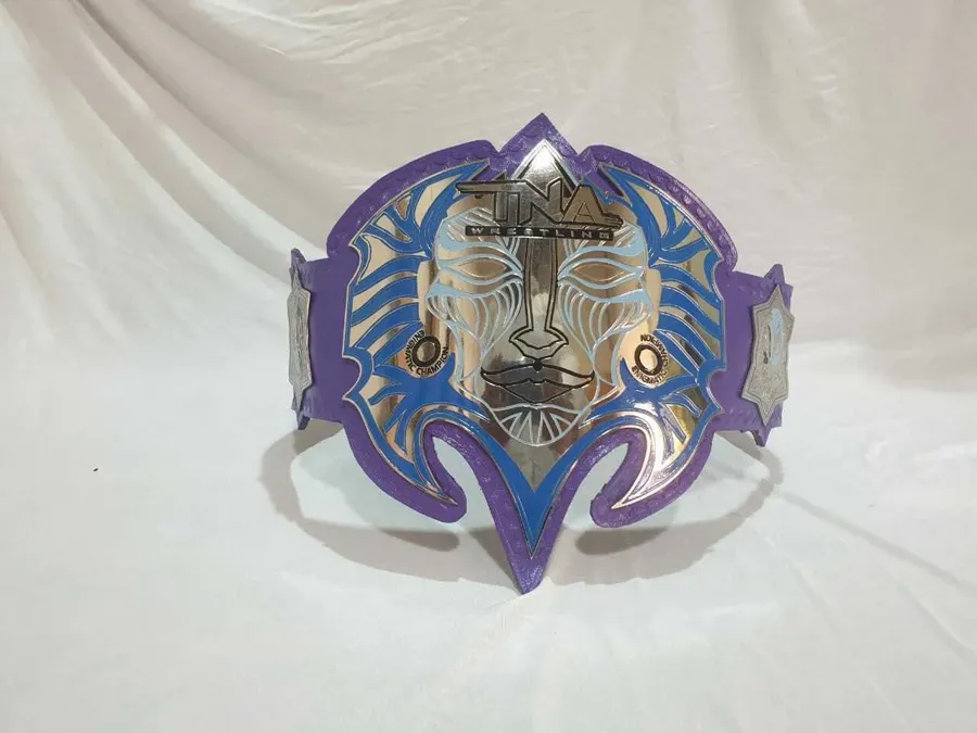 TNA Jeff Hardy Championship Belt