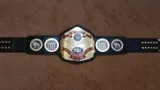 NWA Western States Heavyweight 24K Gold Zinc Championship Belt — view 1