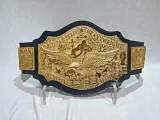 NWA National Tag Team Zinc Championship Belt — view 1