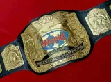 WWE NXT Tag Team Championship Belt — view 1