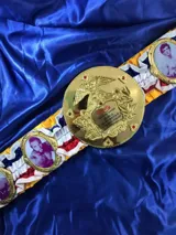 The Ring Undisputed Boxing Championship Belt — view 1