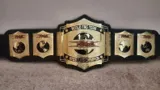 TNA World Tag Team Championship Belt — view 1