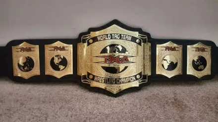 TNA World Tag Team Championship Belt