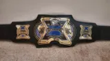 TNA X Division Championship Title Belt — view 1