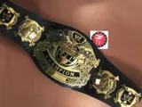 WWE Undisputed Championship Belt — view 1