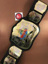 WWF World Tag Team Dual Plated 24K Gold Zinc Championship Belt — view 1